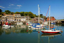 Padstow harbour and fishing boats, Cornwall, UK