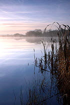 Lower Tamar lake. Early moring mist and reflections. North Cornwall, UK.