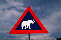 African elephant road warning sign, Chobe NP, Botswana