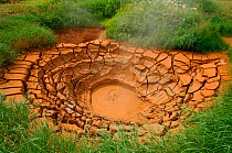 Boiling red clay mud pot, caused by underground volcanic activity, Valley of the Geysers, Kronotsky Zapovednik Reserve, Russia.