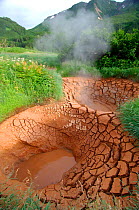 Boiling red clay mud pots with steam, caused by underground volcanic activity, Valley of the Geysers, Kronotsky Zapovednik Reserve, Russia.