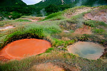Pools of water coloured by the mixing of chemicals, algae, and bacteria. Valley of the Geysers, Kronotsky Zapovednik Reserve, Russia.