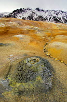 Floor of the Caldera of Uzon Volcano with small cinder cones. Kronotsky Zapovednik Reserve, Russia.