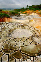 Hot mud pots, Uzon Caldera, Kronotsky Zapovednik Reserve, Russia.