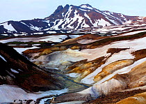 Death Valley at the foot of Kikhpinich Volcano,  Kronotsky Zapovednik Reserve, Russia, where noxious gases are concentrated enough to kill animals.