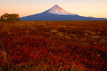 Kronotsky Volcano at sunset, Kronotsky Zapovednik Reserve, Kamchatka, Russia.