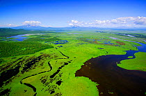 Aerial view of The Zhupanov River, Kronotsky Zapovednik Reserve, Russia.