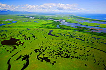 Aerial view of The Zhupanov River, Kronotsky Zapovednik Reserve, Russia.
