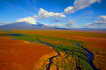 Aerial view of Kronotskaya River with volcano and red tundra in September, Kronotsky Zapovednik Reserve, Russia.