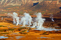 Fissures and geysers erupting, Uzon Caldera. Kronotsky Zapovednik Reserve, Kamchatka, Russia.