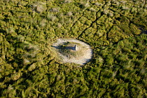 Aerial view of a termite mound in the Okavango Delta, Botswana. Vegetation grows on the mounds and creates islands.