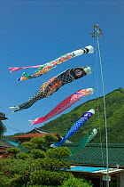 Paper fish hung on pole to celebrate children's festival. Gifu, Japan.