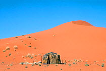 Hut in front of sand dune, Kalahari Gemsbok NP, South Africa