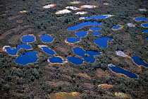 Aerial view of bog pools in pristine lowland raised wetlands, Alam Pedja NR, Poltsamaa, Estonia