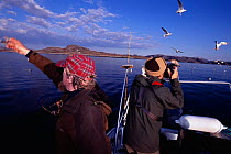 Martin Dahle, boat owner, and Vincent Munier, photographer attempting to lure Sea eagles with fish bait, Trondelag, Norway