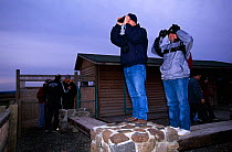 Bird watchers observing Common cranes from outside hide, Lake Agmon, Hula valley, Israel