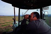 Eli Galili, warden, checking rings on Common cranes {Grus grus} Lake Agmon, Hula valley, Israel