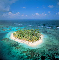 Aerial view of island with coconut palms, San Blas, Panama, Caribbean Sea