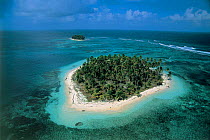 Aerial view of island with coconut palms, San Blas, Panama, Caribbean Sea