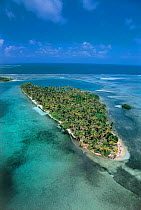 Aerial view of coastal island covered with coconut palms, San Blas islands, Panama, Caribbean Sea