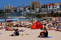 Sunbathers on Bondi Beach, Sydney, New South Wales, Australia, March 2006