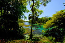 Rainbow River, Rainbow Springs State Park, Florida, USA