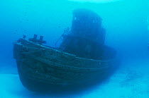 Wreck of the tugboat 'Northwind', St Croix, US Virgin Islands, Caribbean
