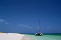 Yacht / catamaran moored off beach, Parrot Cay, Providenciales (Provo), Turks and Caicos Is, Caribbean Sea