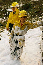 Photographer's family at wood cabin sprayed with fire retardant foam to protect it from forest fire, Yellowstone NP, Wyoming, USA. 1988