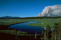Smoke from forest fire billows into the sky above Yellowstone NP landscape, Wyoming, USA.