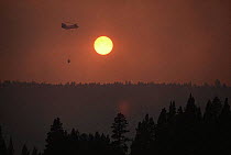 Sun shining through thick smoke of fire, helicopter carrying water to douse forest fire, Yellowstone NP, Wyoming, USA. 1988