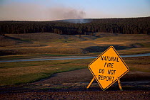 Sign telling public not to report a natural fire in Yellowstone NP, Wyoming, USA. 2003. Authorities aware of fire and allowing a controlled burn.