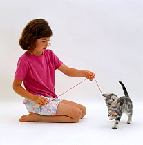 Domestic Cat {Felis catus} girl playing with kitten