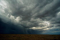 Rain clouds in sky over Sturt National Park, New South Wales, Australia.
