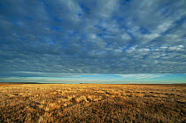 Clouds over Sturt NP, New South Wales, Australia.