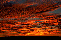 Clouds in sky at sunset over Sturt NP, New South Wales, Australia.