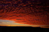 Cloud formation in sky at sunset over Sturt NP, New South Wales, Australia.