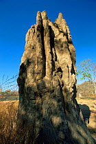 Termite mound, Northern Territory, Australia.