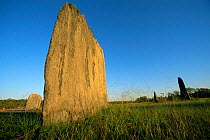 Magnetic termite mound, Litchfield NP, Northern Territory, Australia.