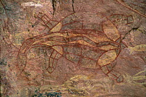 Aboriginal rock art, tortoise / turtle, Nr Darwin, Northern Territory, Australia.