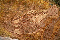 Aboriginal rock art, fish, Nr Darwin, Northern Territory, Australia.