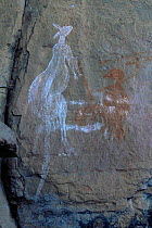 Aboriginal rock art, kangaroo, Nr Darwin, Northern Territory, Australia.