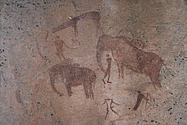 Rock art / cave paintings of people hunting elephant, Namibia.