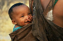 Jo / Hoan bushman baby in sling on mother's back, Bushmanland, Namibia. 1996