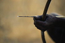 Close up of Traditional bow and arrow of Jo / Hoan bushman, Bushmanland, Namibia. 1996