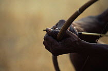 Close-up of traditional bow and arrow of Jo / Hoan bushman, Bushmanland, Namibia. 1996