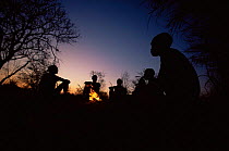 Jo / Hoan bushmen sitting round fire at sunset, Bushmanland, Namibia. 1996
