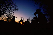 Jo / Hoan bushmen people sitting and smoking round fire at sunset, Bushmanland, Namibia. 1996
