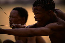 Jo / Hoan bushman with bow and arrow, Bushmanland, Namibia. 1996