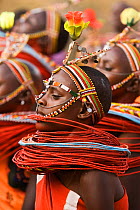 Profile of Samburu girls dancing with traditional bead necklaces, Laikipia, Kenya